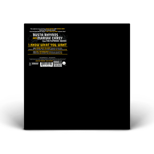 Busta Rhymes & Mariah Carey featuring The Flipmode Squad - I Know What You Want - 12" Vinyl (United States)